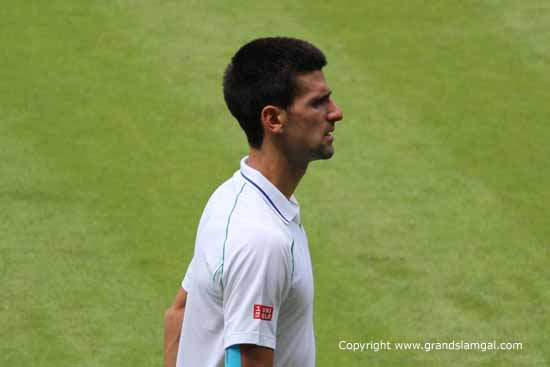 Djokovic (taken in 2012)
