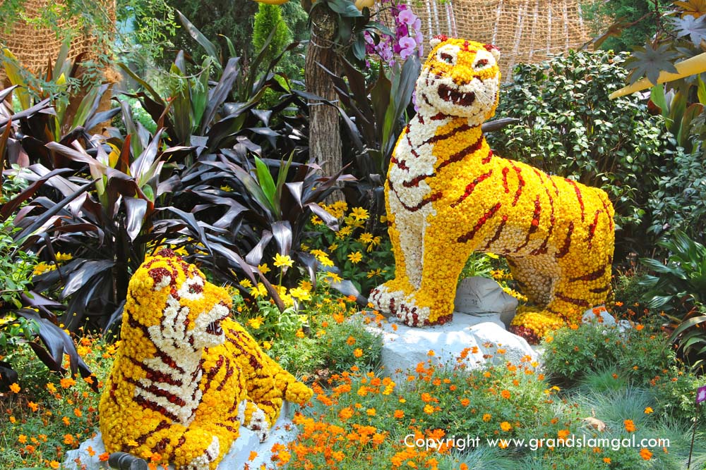 Floral tigers in the Flower Dome